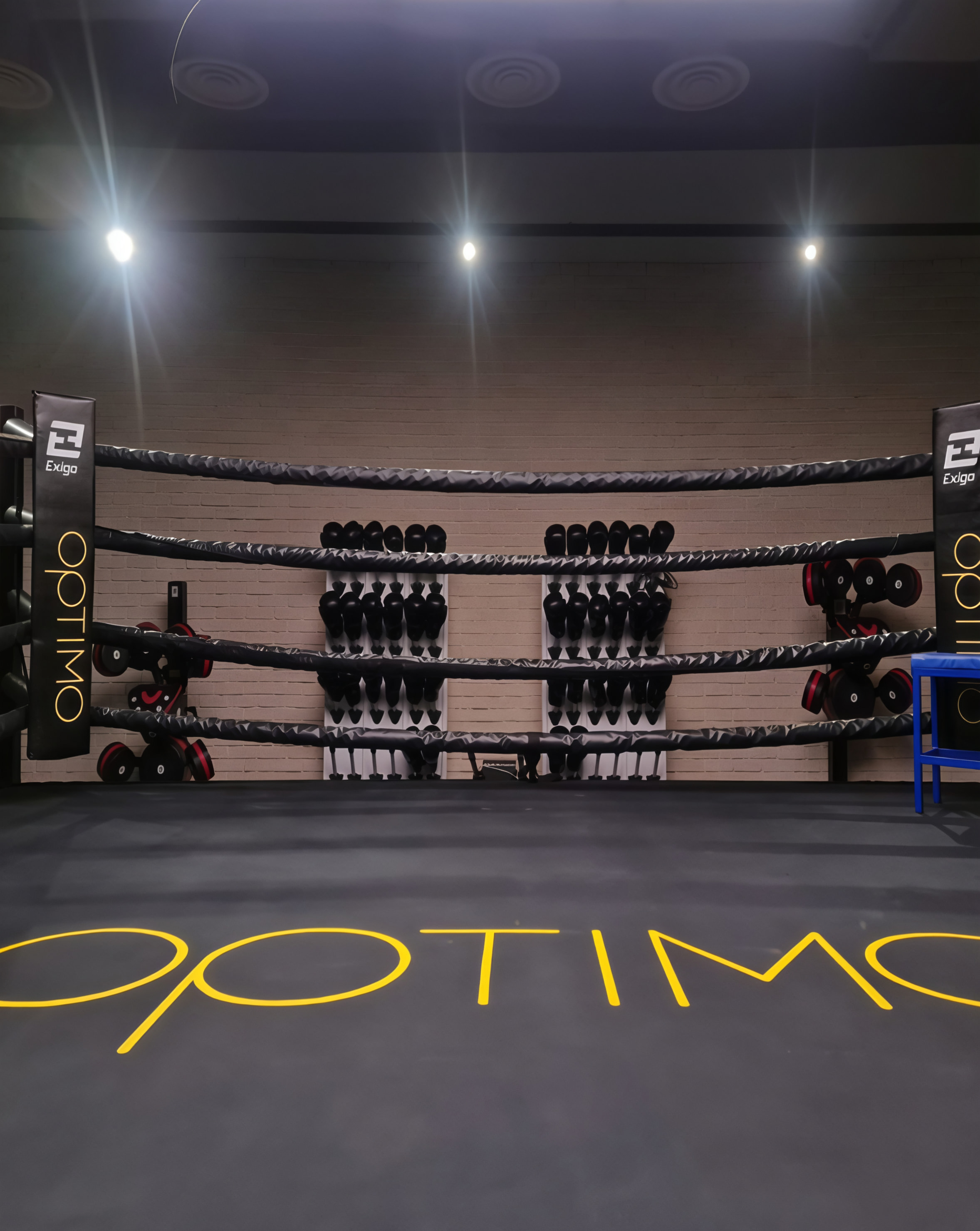 Optimo media 1